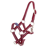 Kantar źrebięcy Premiere Fun