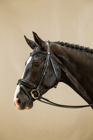 Ogłowie z nachrapnikiem szwedzkim Dy'on Working Collection WODCAN