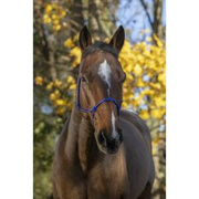 Kantar sznurkowy Riding World Fine