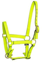 Kantar dla źrebaka API Baby