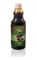Booster energetyczny St. Hippolyt Qelan  700ml