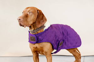 Derka dla psa Kentucky Dogwear Original