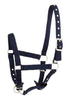 Kantar dla źrebaka API Baby