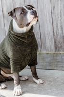 Derka dla psa Kentucky Dogwear Teddy Fleece