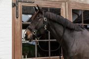 Kantar dla konia Kentucky Horsewear Plaited Nylon