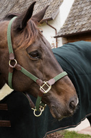 Kantar dla konia Kentucky Horsewear Plaited Nylon