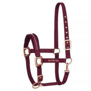 Kantar EQ.QUEEN Amsterdam