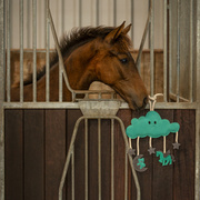 Zabawka do boksu QHP Horse Toy Novy