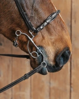Pasek do wędzidła hackamore Fager Richard 