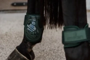 Ochraniacze tylne Kentucky Horsewear Young Horse TPU