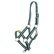 Kantar źrebięcy Premiere Fun