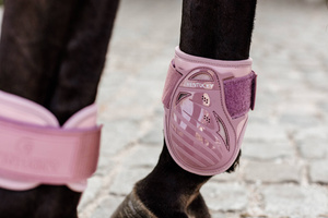 Ochraniacze tylne Kentucky Horsewear Young Horse TPU