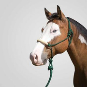 Kantar sznurkowy z liną Lami-cell