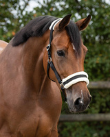 Kantar z futerkiem QHP Cali