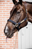 Kantar anatomiczny Kentucky Horsewear Anatomic Nylon