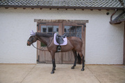 Czaprak ujeżdżeniowy Kentucky Horsewear Softshell Onion Quilt