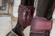 Ochraniacze tylne Kentucky Horsewear Young Horse TPU