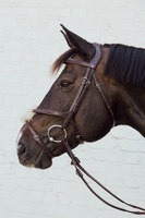 Nachrapnik meksykański Dy'on New English Collection Plaited NE04V 