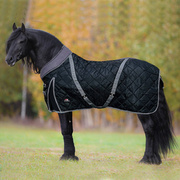 Derka stajenna Horsenjoy Megeve 300g