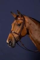 Ogłowie anatomiczne Dy'on New English Collection NEABAB