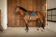 Czaprak wszechstronny Kentucky Horsewear Sparkling