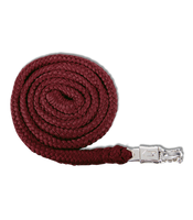 Uwiąz z bezpiecznym karabinkiem Waldhausen Economic