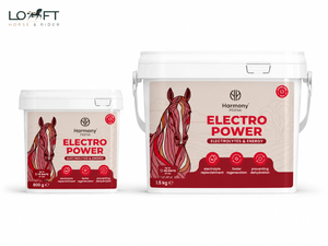Elektrolity w proszku dla koni Harmony Horse Electro Power