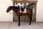 Czaprak ujeżdżeniowy Kentucky Horsewear Velvet