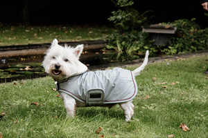 Derka dla psa Kentucky Dogwear Waterproof 160g