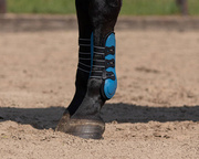 Ochraniacze przednie QHP Champion