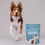 Karma sucha tłoczona na zimno dla psów dorosłych średnich i dużych ras Perro - Dziczyzna 1kg