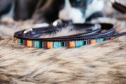 Smycz dla psa Kentucky Dogwear Pearls
