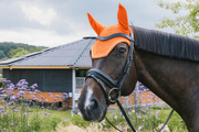 Nauszniki wyciszające Kentucky Horsewear Diamond Rope