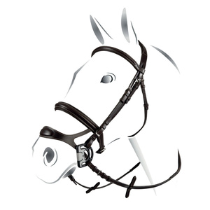 Ogłowie z podwójnym nachrapnikiem Equestro Combined