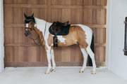 Czaprak wszechstronny Kentucky Horsewear Wave