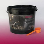 Suplement wspierający płodność klaczy i ogierów Equina Trifertil 3kg