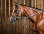 Czarna wodza skórzano-gumowa Dy'on Working Collection WO08C