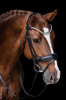 Ogłowie z nachrapnikiem szwedzkim Schockemöhle Sports Siena