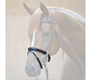 Nachrapnik kombinowany ze skośnikiem Kavalkade