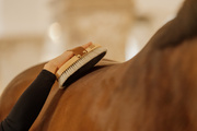 Szczotka do nabłyszczania sierści konia z naturalnego włosia końskiego Kentucky Horsewear Overall Brush Body Shine