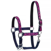 Kantar START Heart Painted