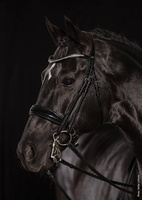 Ogłowie munsztukowe z nachrapnikiem szwedzkim Schockemöhle Sports Milan