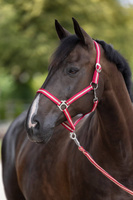 Kantar dla konia Covalliero Hippo