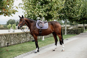Czaprak wszechstronny Kentucky Horsewear Velvet