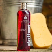 Szampon dla koni gniadych Carr & Day & Martin Gallop Colour Enhancing