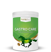 Suplement wspierający układ pokarmowy HorseLine GastroCare 