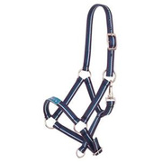 Kantar źrebięcy Premiere Fun