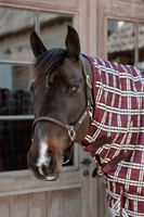 Kaptur do derki Kentucky Horsewear All Weather Waterproof Comfort 0g