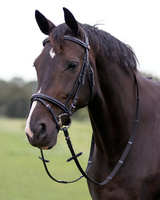 Ogłowie z nachrapnikiem kombinowanym QHP Luxury