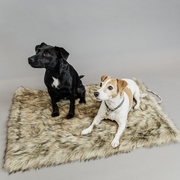 Legowisko dla psa Kentucky Dogwear Fuzzy Blanket To Go